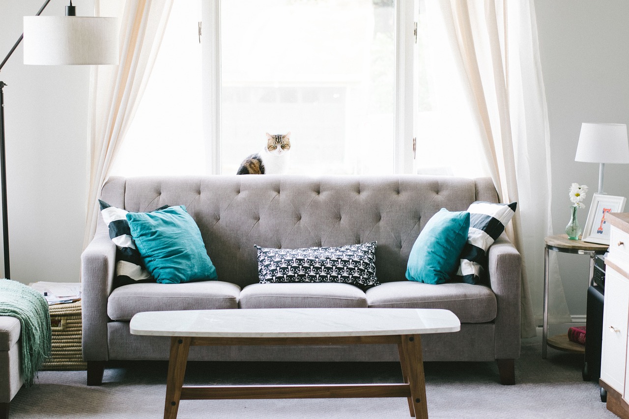Canapé pour petit salon : optimisation de l'espace et confort